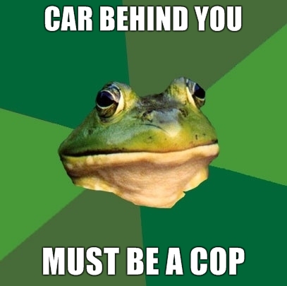 paranoid frog