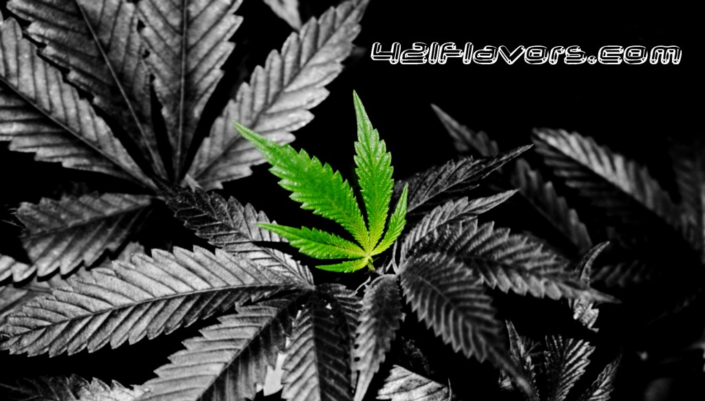 Weed / Marijuana Leaf Wallpaper Background