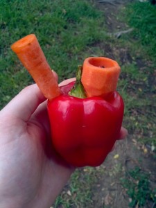 carrot-pepper-bowl-an_otter